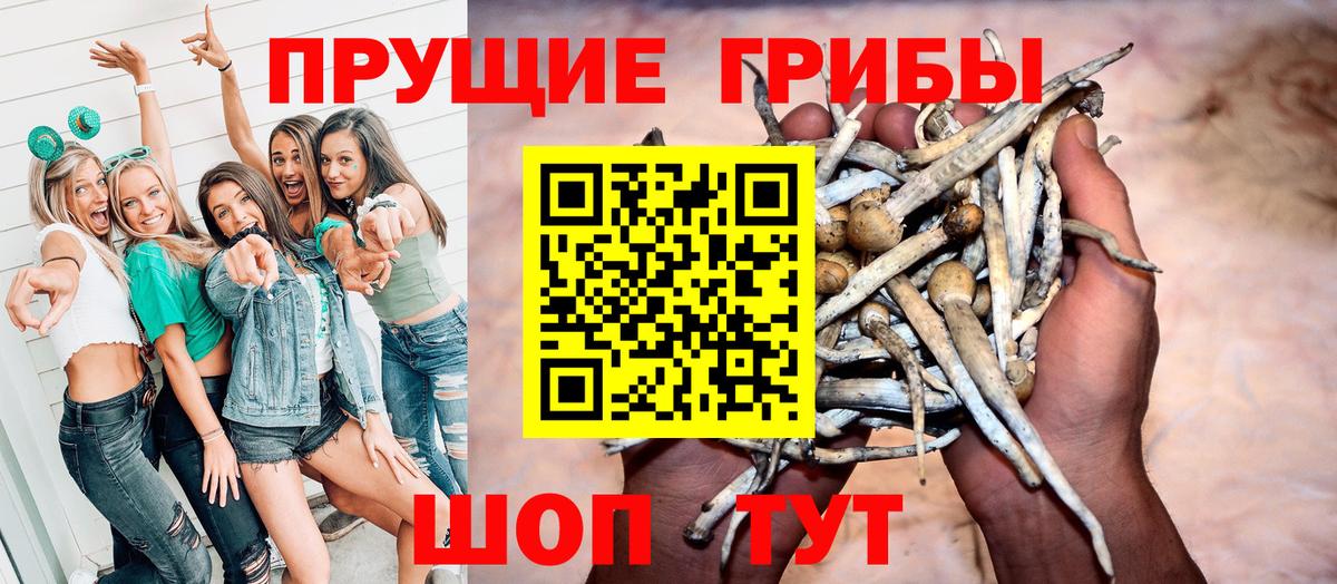 Псилоцибиновые грибы ЛСД Ивантеевка