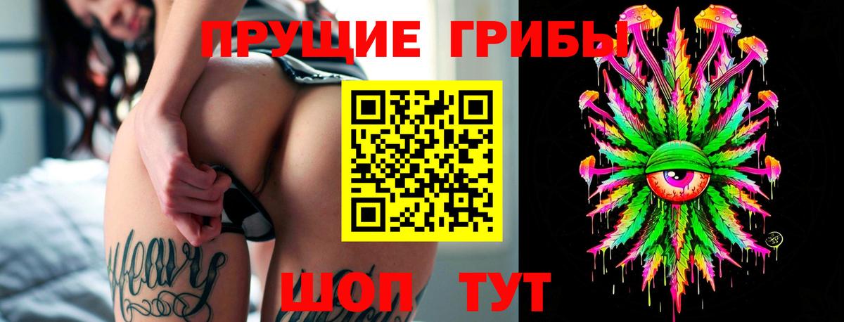 Псилоцибиновые грибы Psilocybe  Вход с VPN  Ивантеевка 